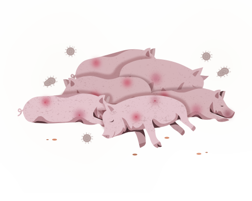 동물 안락사
