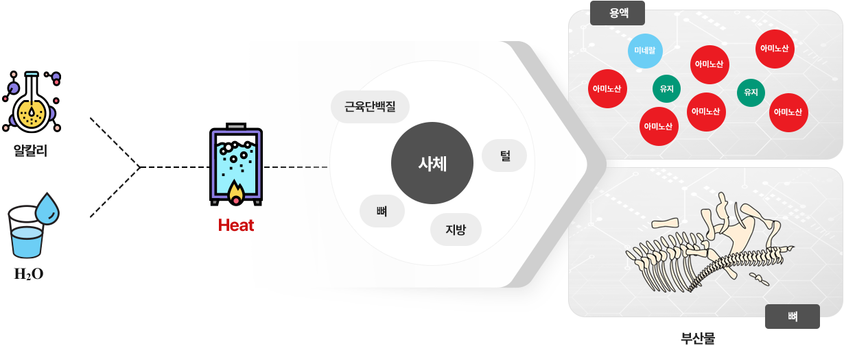 알칼리 가수분해 기술 도식화 이미지
